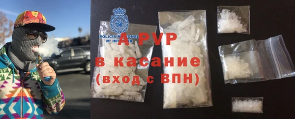 стаф Каменногорск
