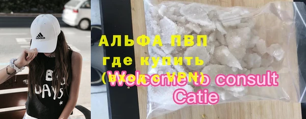 стаф Каменногорск