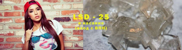 гашик Каменка