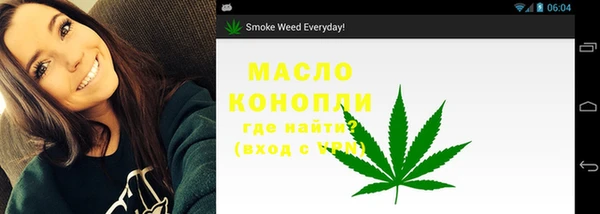 гашик Каменка