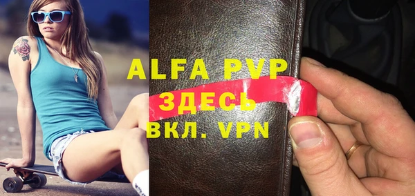 гашик Каменка