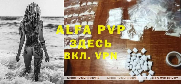 гашик Каменка