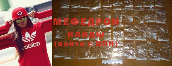 стаф Каменногорск