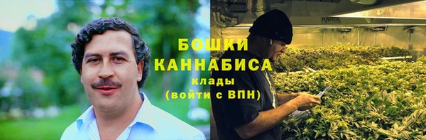 гашик Каменка