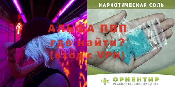 стаф Каменногорск