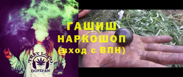 гашик Каменка