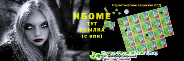 стаф Каменногорск