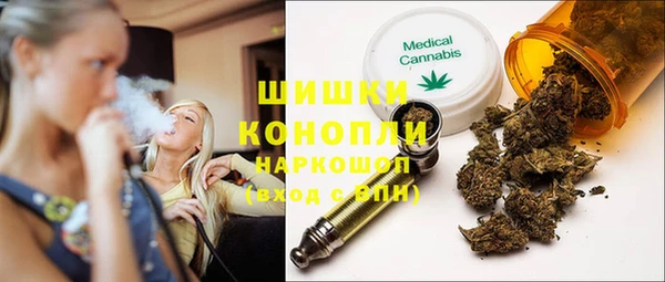 гашик Каменка
