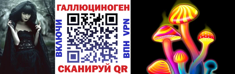 Псилоцибиновые грибы Psilocybine cubensis  закладка  Волгоград 